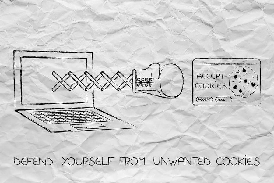 Are Cookies Dangerous? Remove Cookies With Ad Remover spyware man